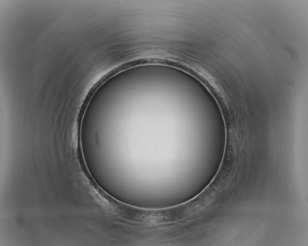 X0000110730791200906191525