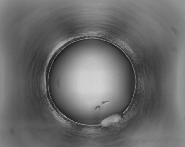 X0000110730792200906191525