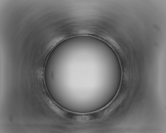 X0000110730793200906191525