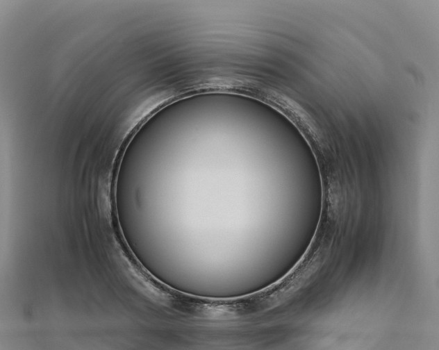 X0000110730794200906191525