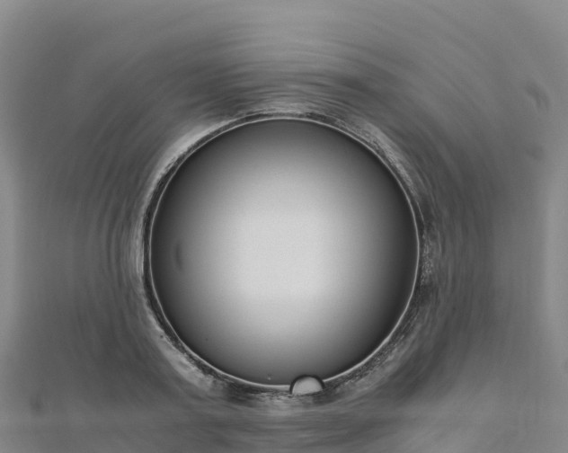 X0000110730795200906191525