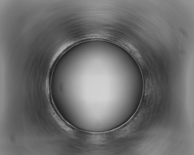 X0000110730796200906191525