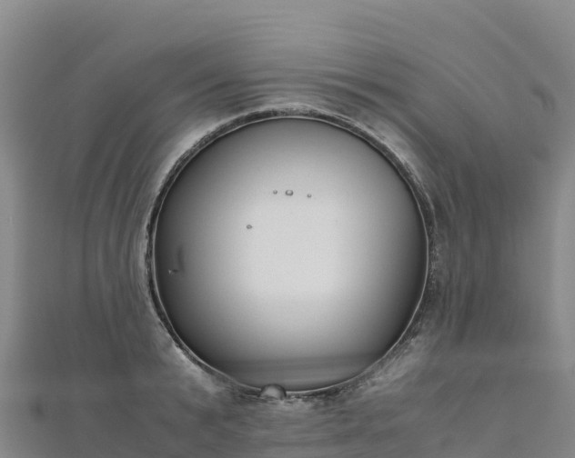 X0000110730799200906191525