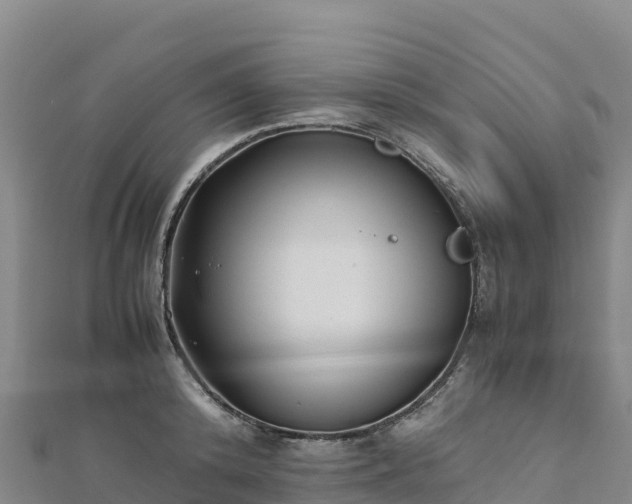 X0000110730800200906191525