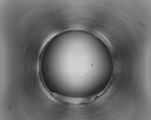 X0000110730804200906191525