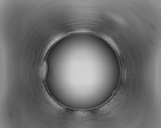 X0000110730805200906191525