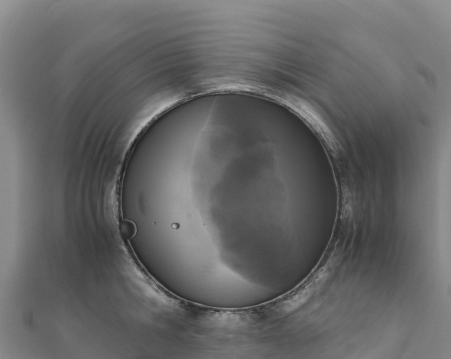 X0000110730806200906191525