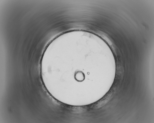 X0000110730807200906191525