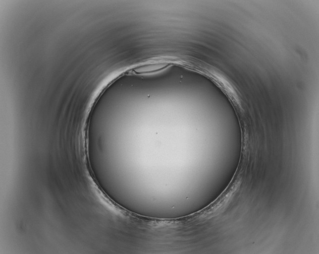 X0000110730808200906191525