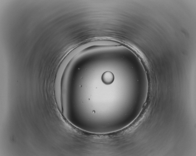 X0000110730809200906191525