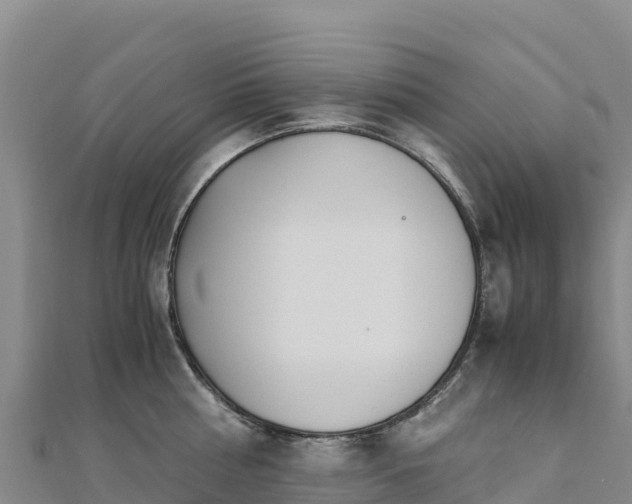 X0000110730810200906191525