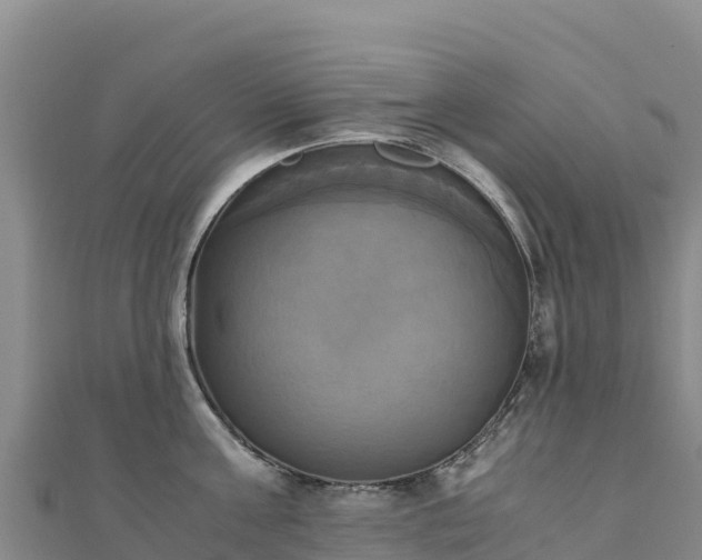 X0000110730811200906191525