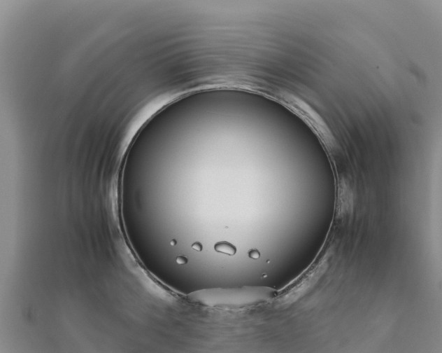 X0000110730812200906191525