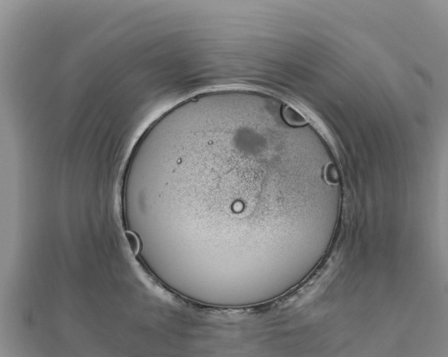 X0000110730813200906191525