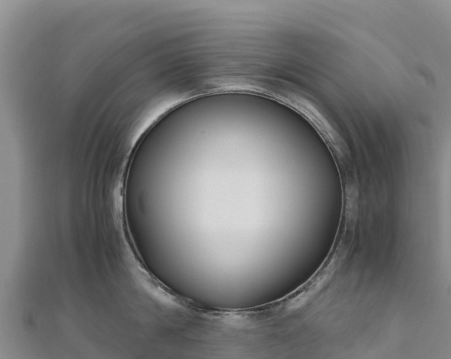 X0000110730814200906191524