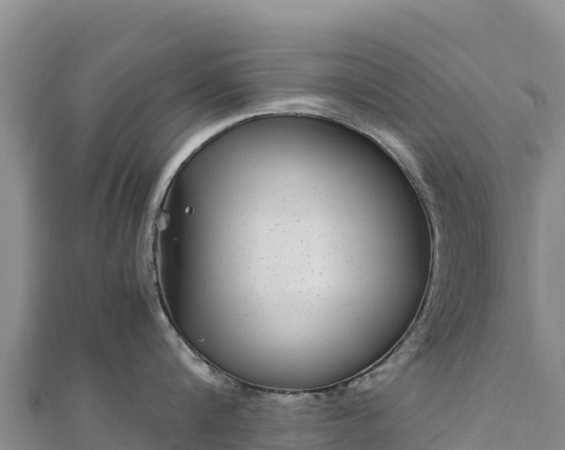 X0000110730816200906191524