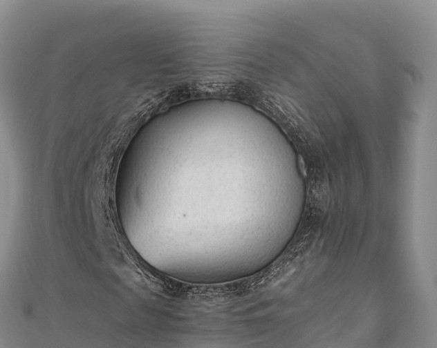 X0000110730817200906191524