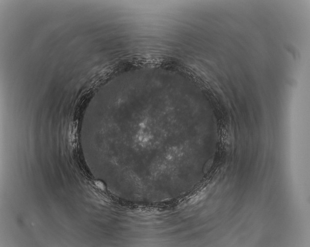 X0000110730818200906191524