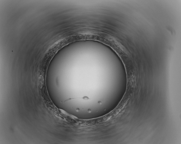 X0000110730821200906191524