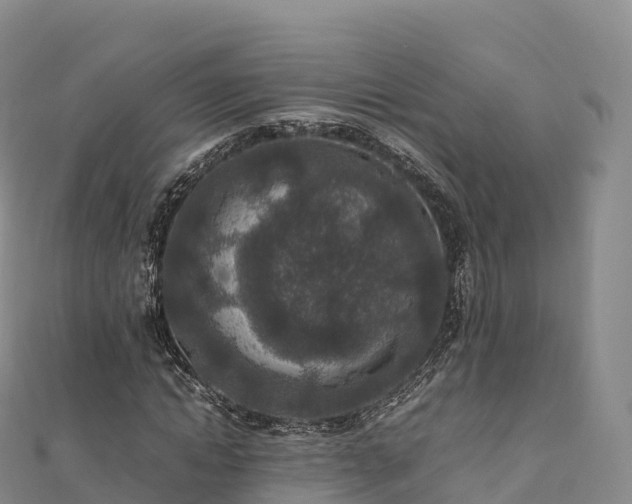 X0000110730822200906191524