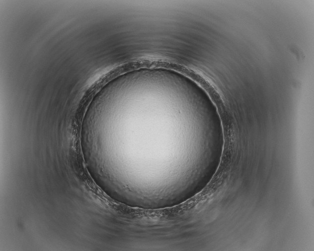 X0000110730823200906191524