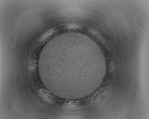 X0000110730824200906191524