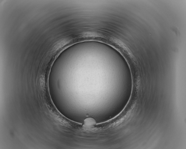 X0000110730825200906191524