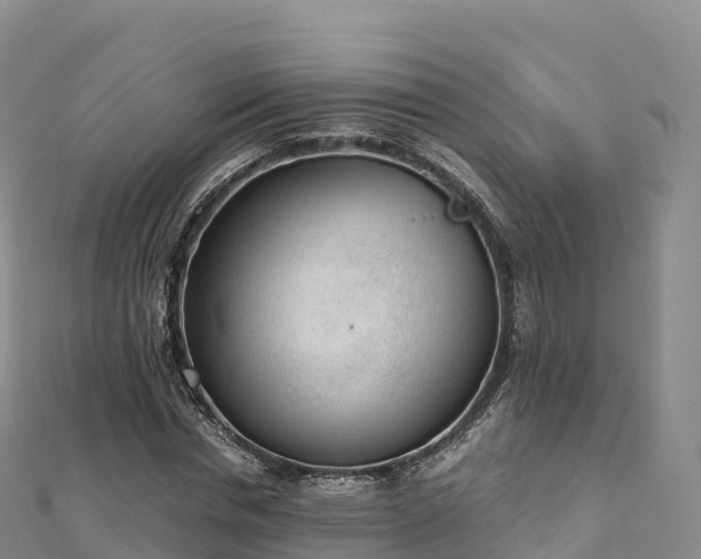 X0000110730826200906191524