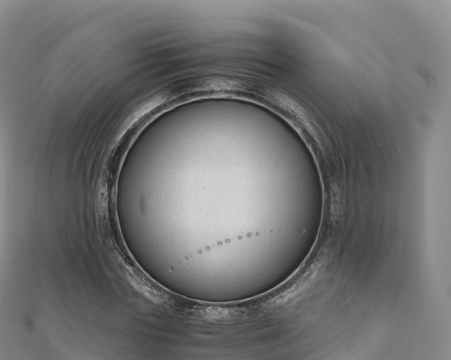 X0000110730827200906191524