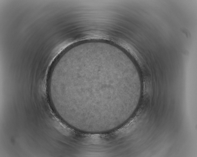 X0000110730828200906191524