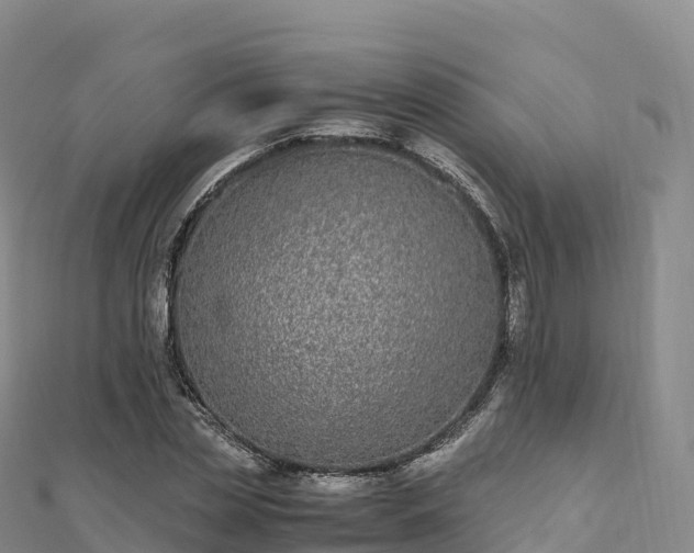 X0000110730829200906191524