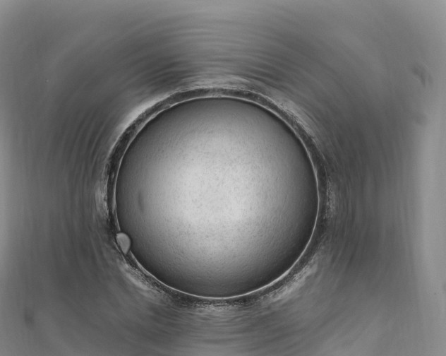 X0000110730830200906191524