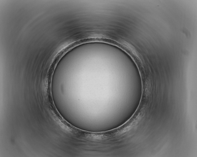 X0000110730831200906191524