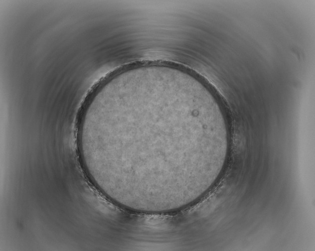 X0000110730832200906191524