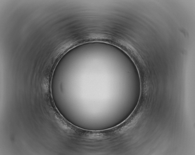 X0000110730833200906191524