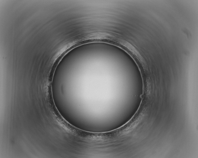 X0000110730834200906191524