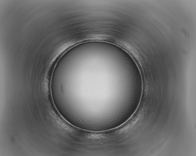 X0000110730835200906191524