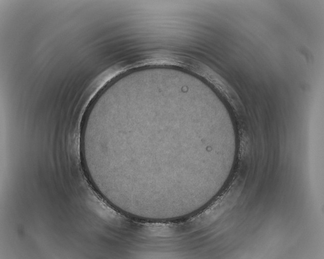 X0000110730836200906191524