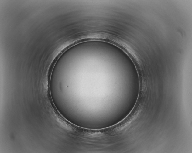 X0000110730837200906191524