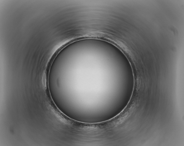 X0000110730838200906191524