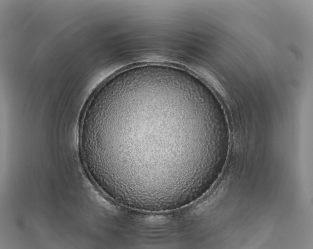 X0000110730839200906191524