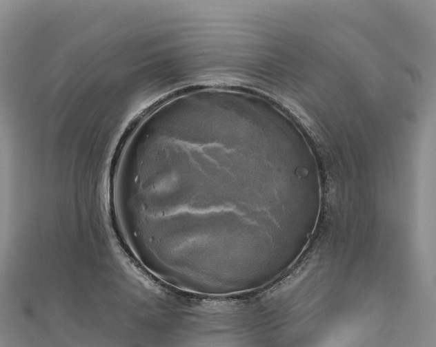 X0000110730840200906191524