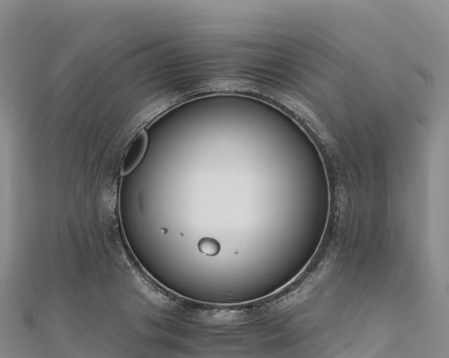 X0000110730841200906191524