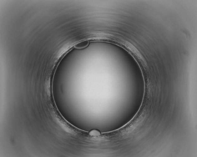 X0000110730842200906191524