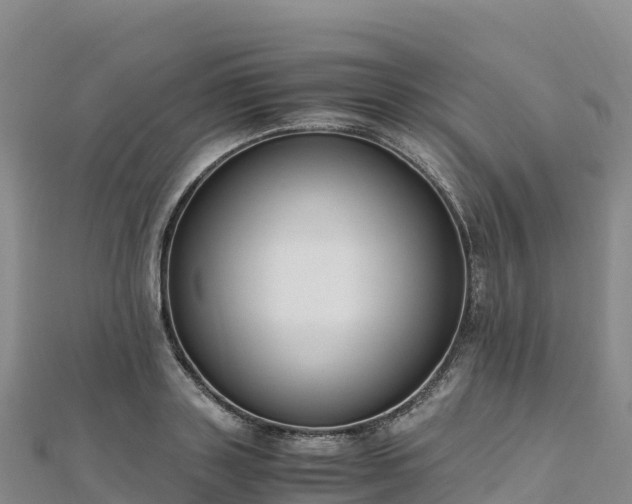 X0000110730843200906191524