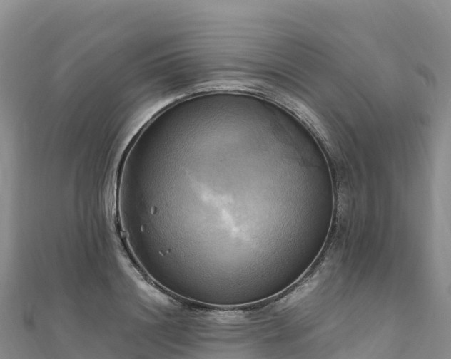 X0000110730844200906191524