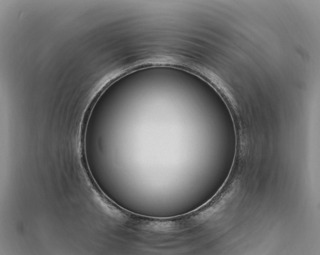 X0000110730845200906191524