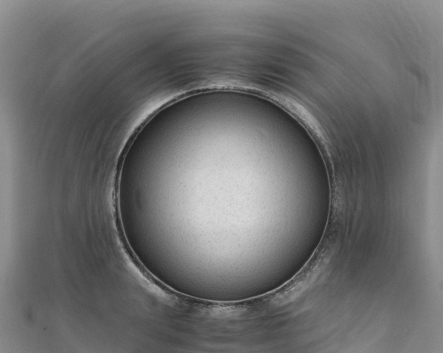 X0000110730847200906191524