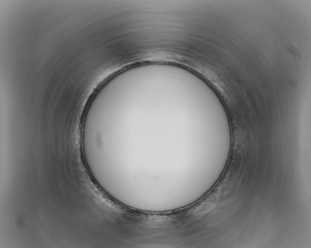 X0000110730848200906191524