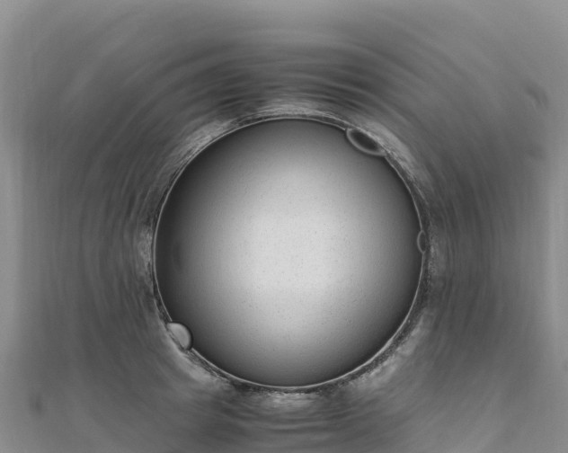 X0000110730849200906191524